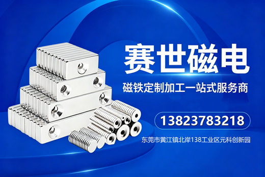 赛世磁电东莞线上分站